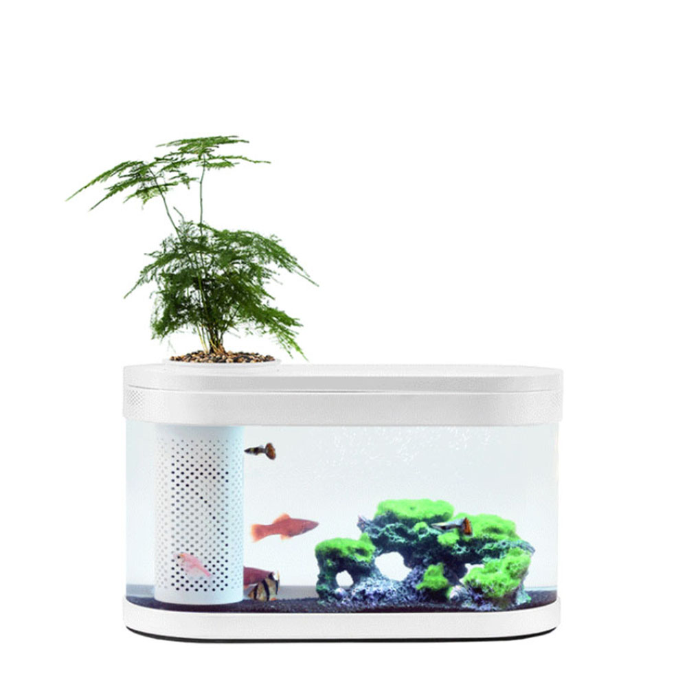 AQUARIO DA SCARICARE