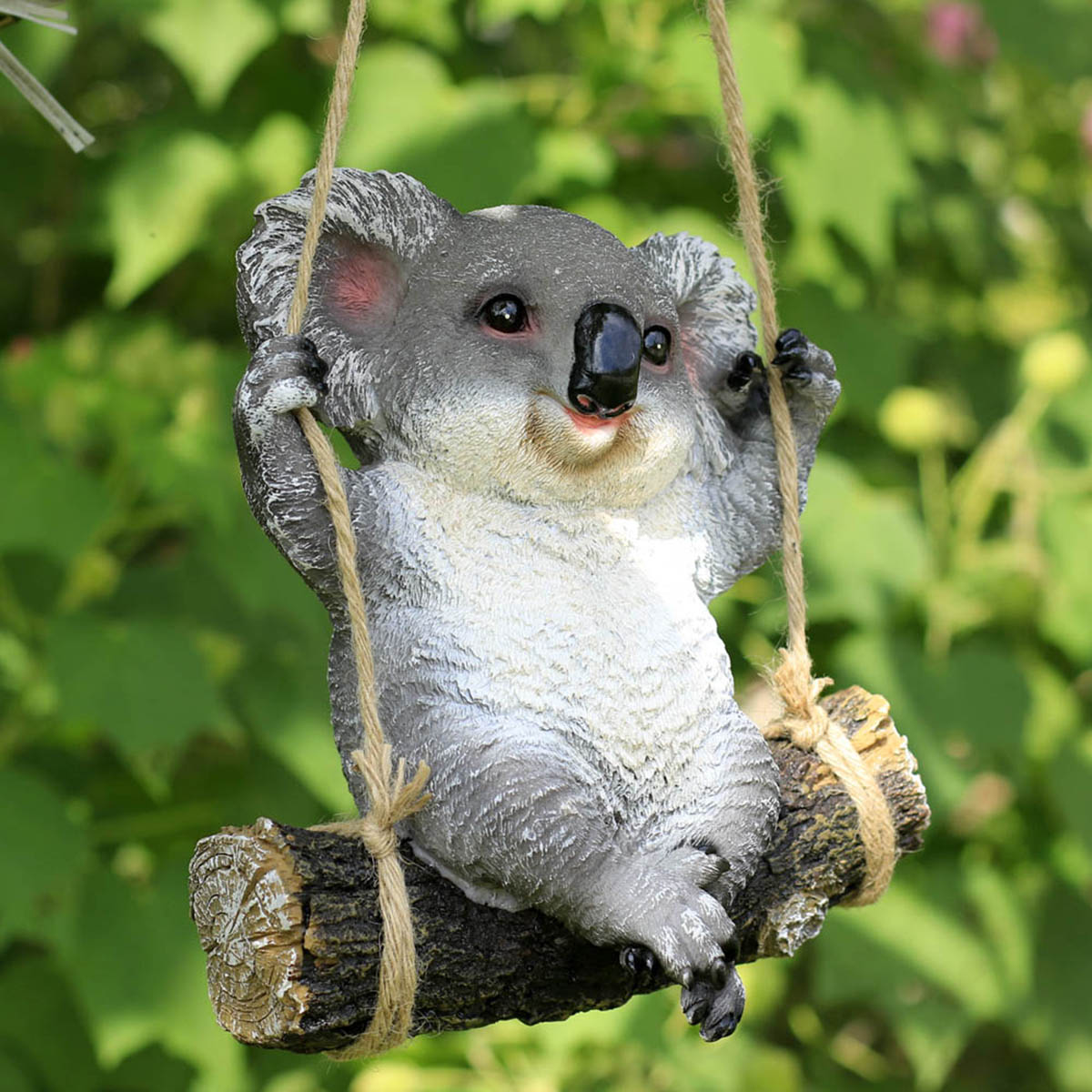 immagini koala da scarica