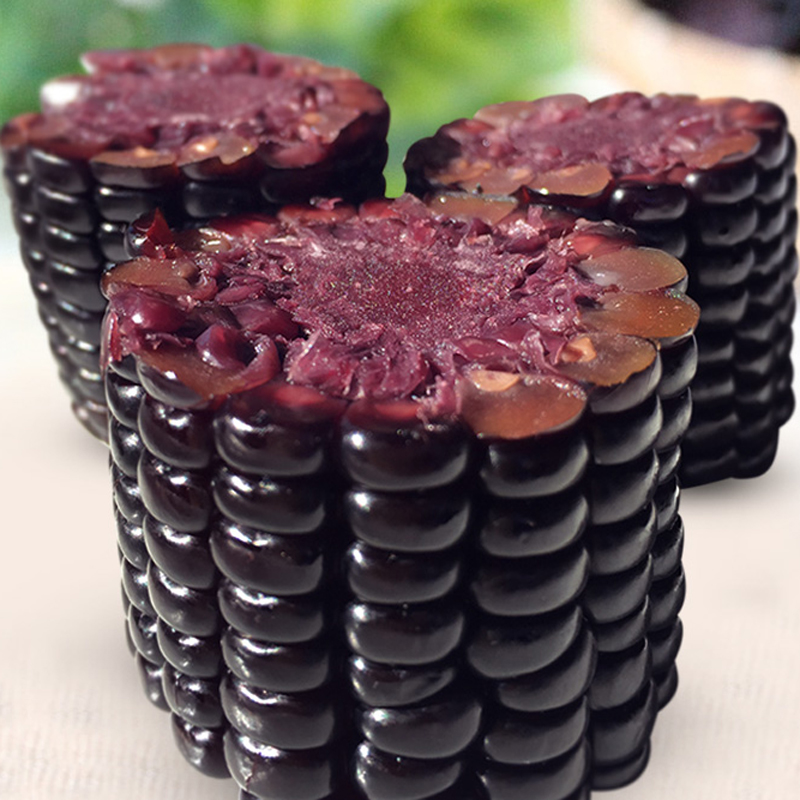 Купить Семена Черной Кукурузы