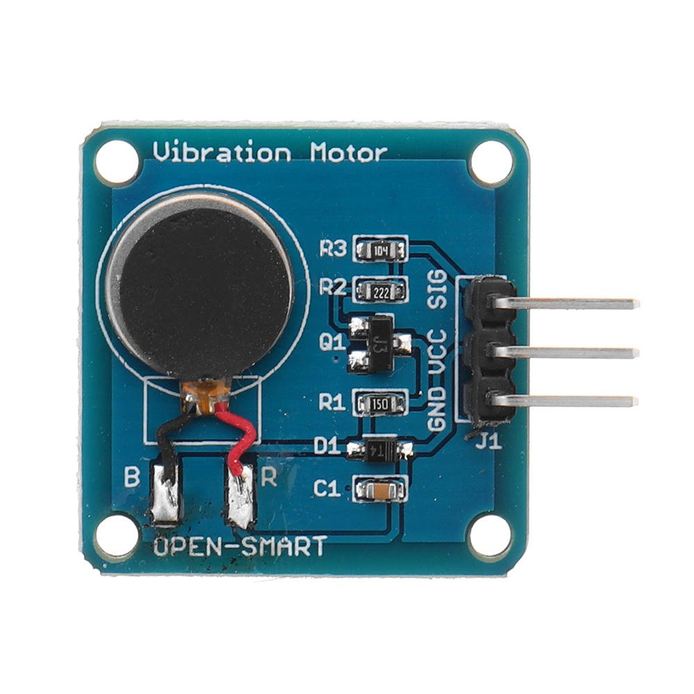 Vibration Motor Module