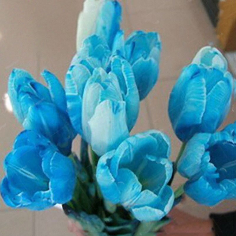 Тюльпаны голубого цвета. Тюльпаны бирюзовые. Тюльпаны в бирюзовой бумаге. Синие тюльпаны. Синие тюльпаны букет.