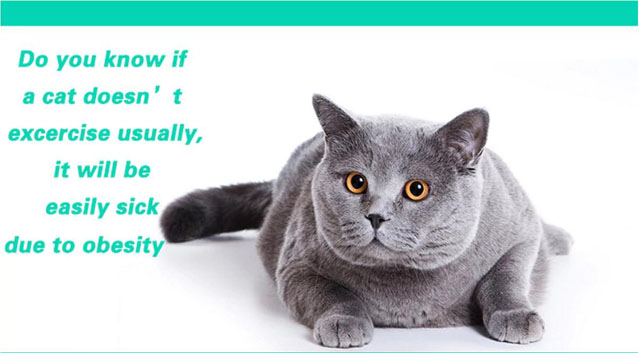 Klingel Bell Ball Haustier Spielzeug Kunststoff Hund Katze Spielen Ball Lustige Spielzeug Pet Produkte Pet Toys