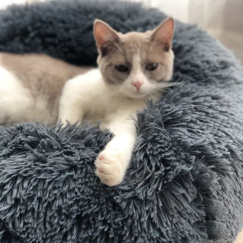 Multicolor Cat Dog Pet Bed Super Soft Warm Round Depth Super Cute