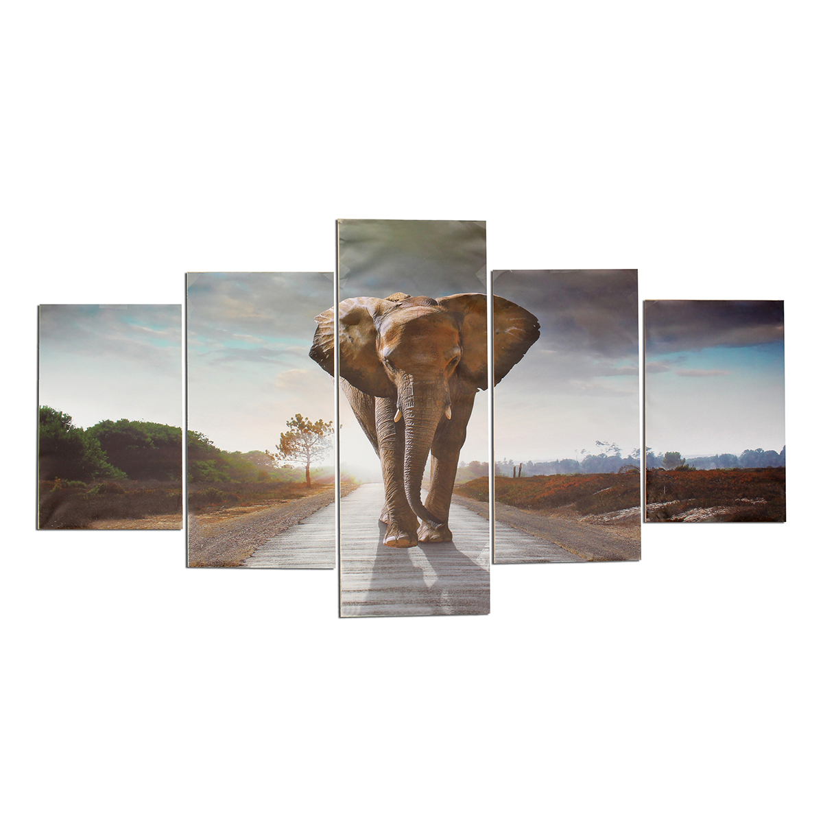 5pcs grand abstrait éléphant imprimer Art photo accueil peintures de décoration murale sans cadre pour les décorations de la chambre