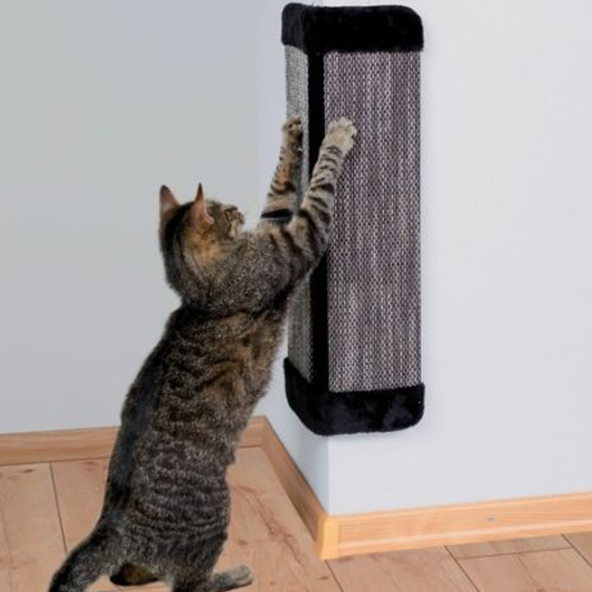 19 '' coin de mur de chat suspendu grattoir planche à gratter mat post jouets pour animaux de compagnie fournitures