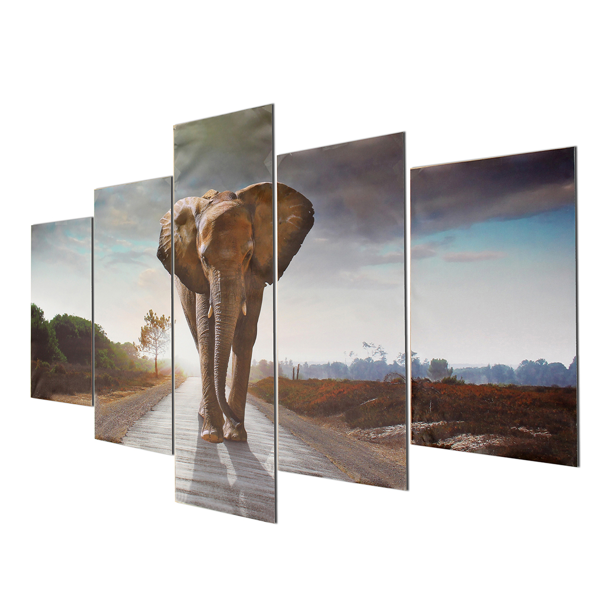 5pcs grand abstrait éléphant imprimer Art photo accueil peintures de décoration murale sans cadre pour les décorations de la chambre