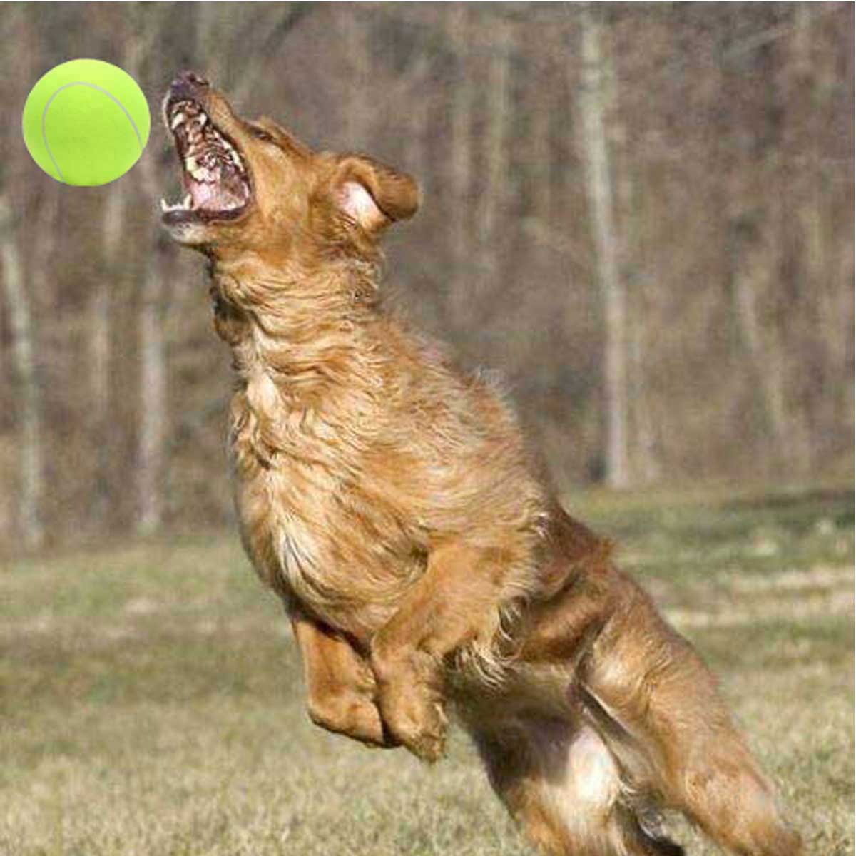 24 cm grand géant animal chien chiot balle de tennis lanceur chucker lanceur jouets pour animaux de compagnie