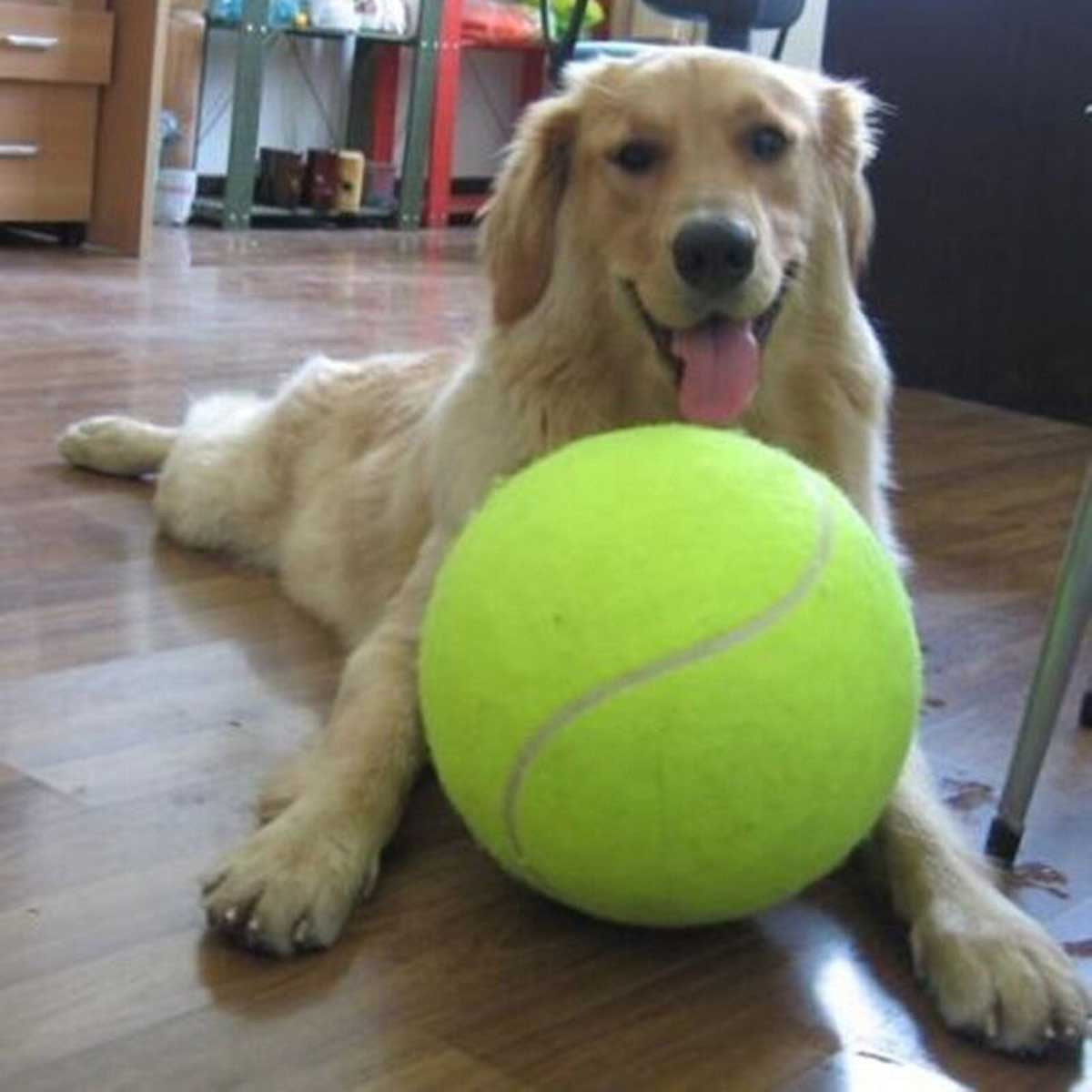 24 cm grand géant animal chien chiot balle de tennis lanceur chucker lanceur jouets pour animaux de compagnie