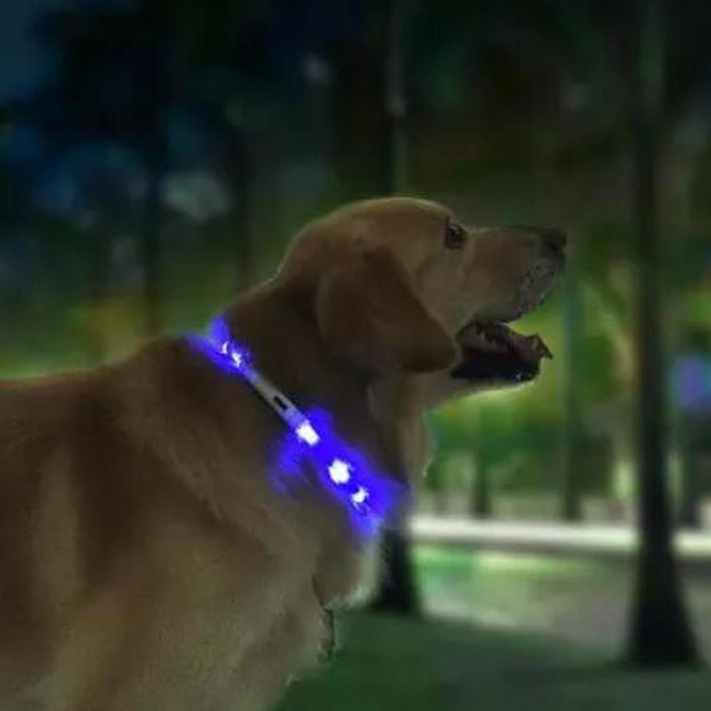 XL81-5001 LED Coleira para animais de estimação À prova d 'água de carregamento USB Iluminação Anti Lost Device LED Iluminação de aviso de Xiaomi Youpin