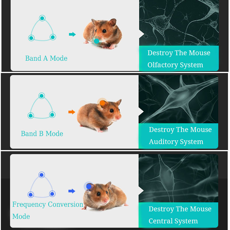 Ultrasonic Pest Control Repeller Plug In Reject Rat Mouse Spider Control Repeller Plug In Humane Mice Control Electronic Insect Repeller