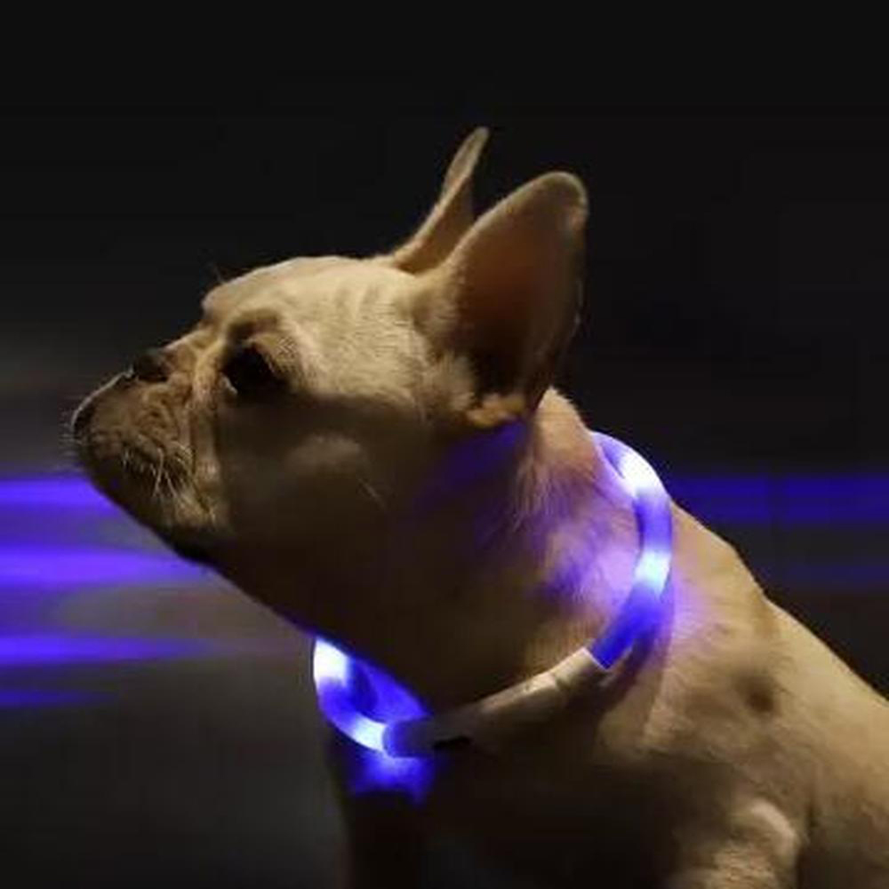 XL81-5001 LED Coleira para animais de estimação À prova d 'água de carregamento USB Iluminação Anti Lost Device LED Iluminação de aviso de Xiaomi Youpin