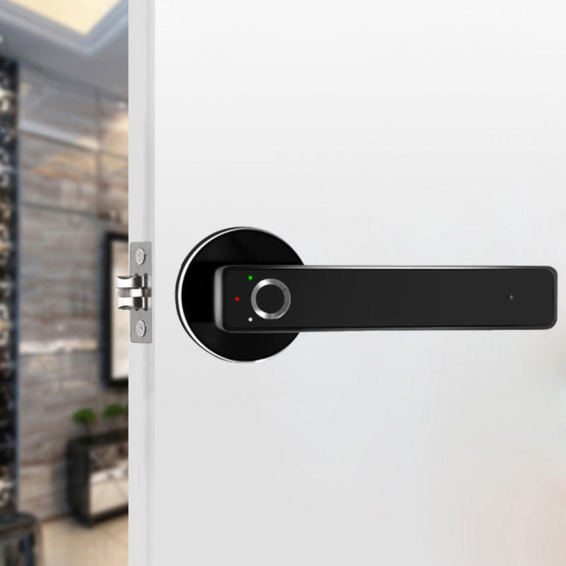 Gate Locks Spherical Fingerprint Lock Home Security Door