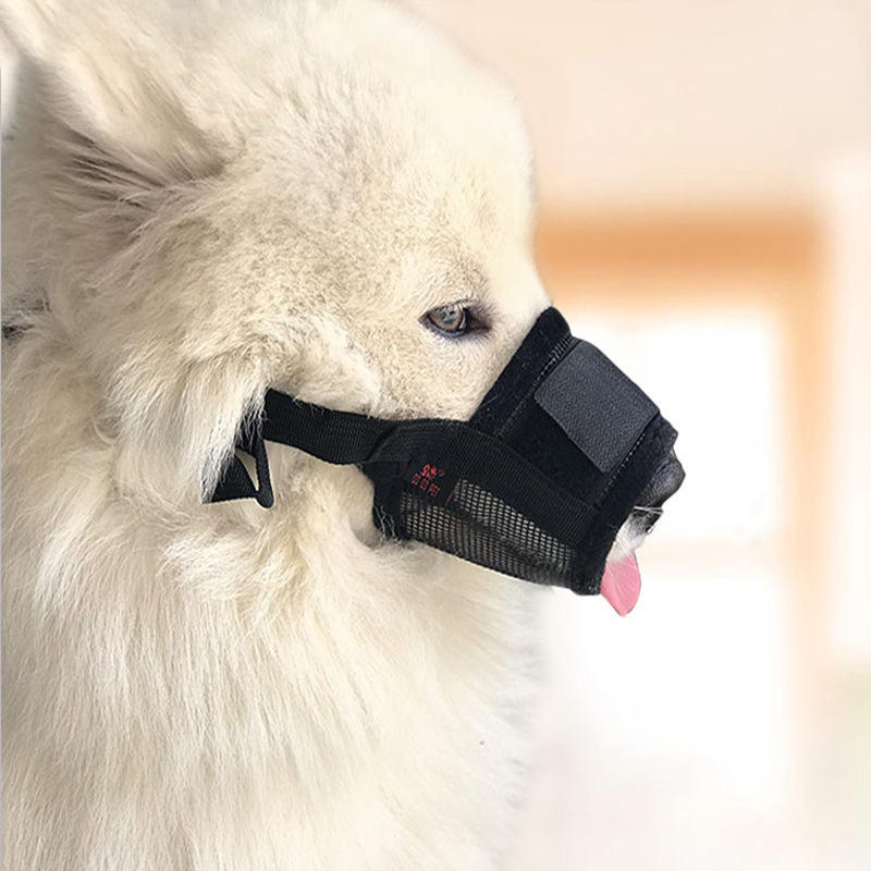 maschera copri bocca nera maschera copri bocca nera