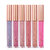 FOCALLURE 6 cores Metallic Matte Lip Gloss Liquid Diamond Brilho Lipsticks Cosmetics Maquiagem 