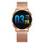 [New Color Updated] Newwear Q8 Stainless Steel 0.95 inch OLED Color Screen Blood Pressure Heart Rate Smart Watch