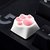 Portachiavi Cat Claw PBT the Cherry Blossom Keycap per tastiera Meccanico Rosa Nero
