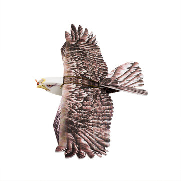 S$63.30 35% Dancing Wings Hobby DW E19 Eagle V2 1430mm Wingspan EPP DIY RC Airplane Fixed-Wing KIT/PNP Slow Flyer Trainer for Beginners RC Drones from Toys Hobbies and Robot on banggood.com